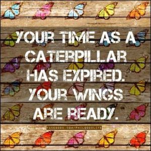 Your time as a caterpillar...